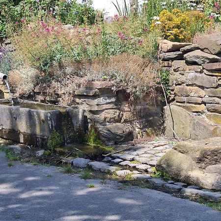 Appartamento La Petite Source Gouvy Esterno foto