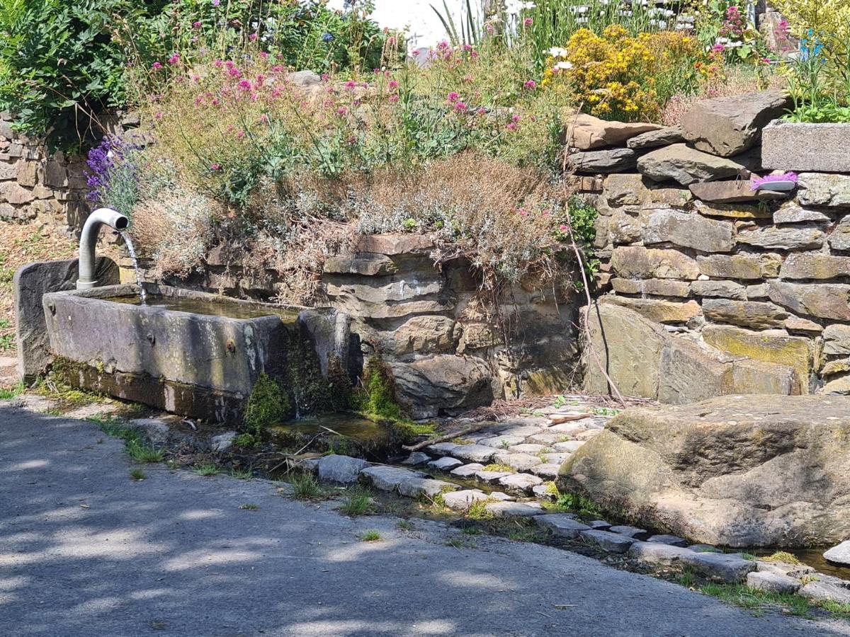 Appartamento La Petite Source Gouvy Esterno foto